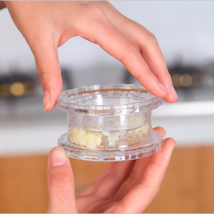 Mini Manual Garlic Grinder & Mincer ✅